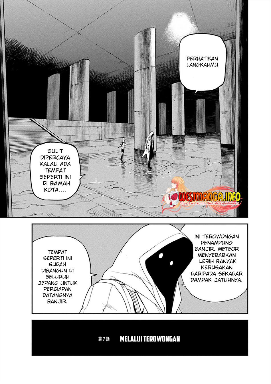 Cosmic Censorship Chapter 7