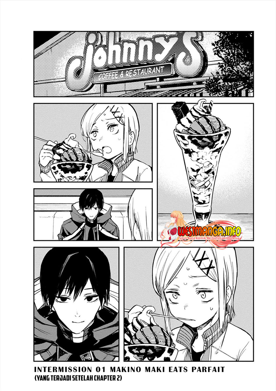 Cosmic Censorship Chapter 8.5