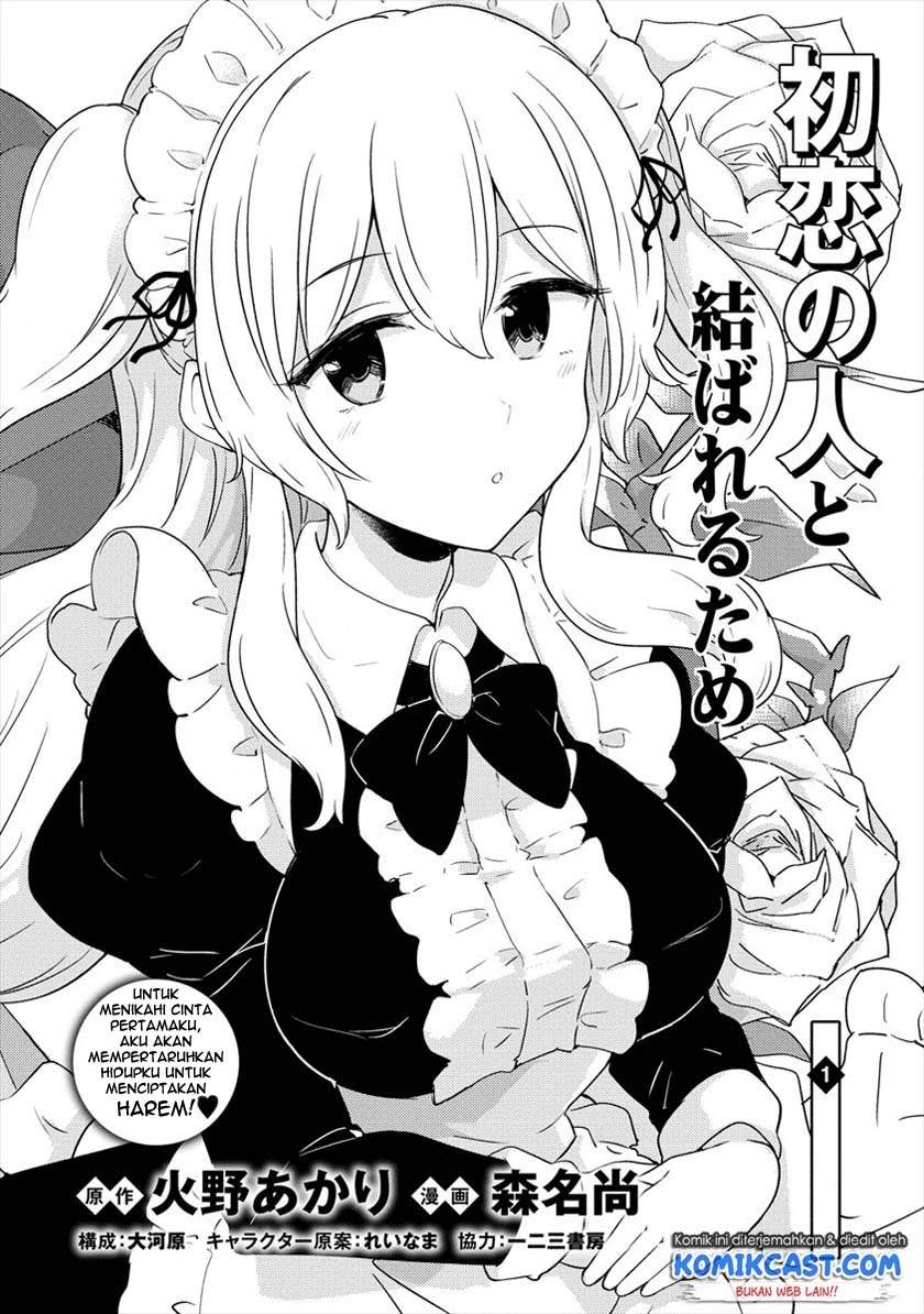 Uchi No Maid To Kekkon Suru Tamenara Ore Wa Harem Wo Tsukuru Chapter 1