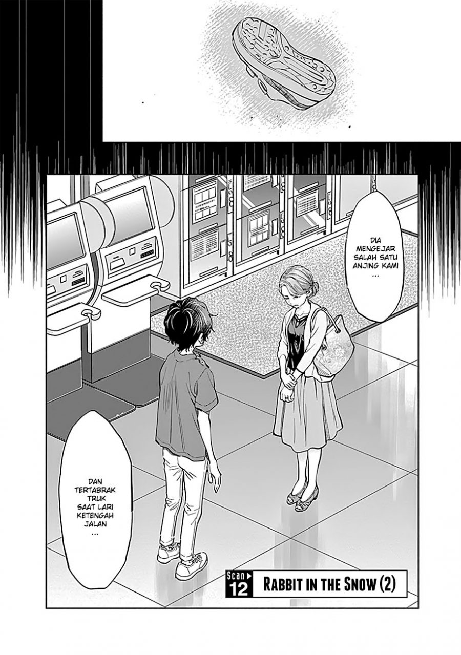radiation house sub indo radiation house sub indo