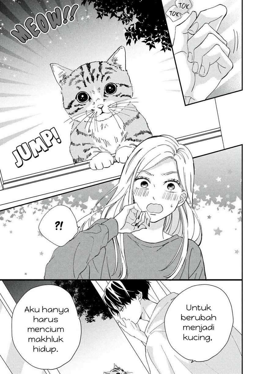 Neko To Kiss Chapter 1