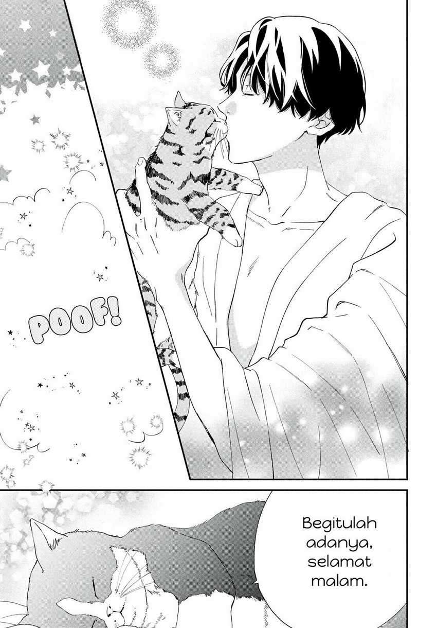 Neko To Kiss Chapter 1