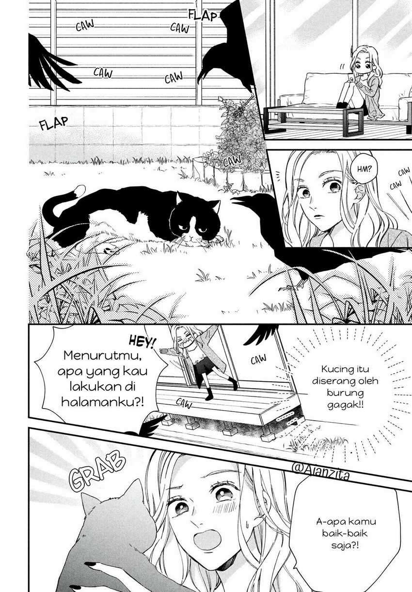 Neko To Kiss Chapter 1