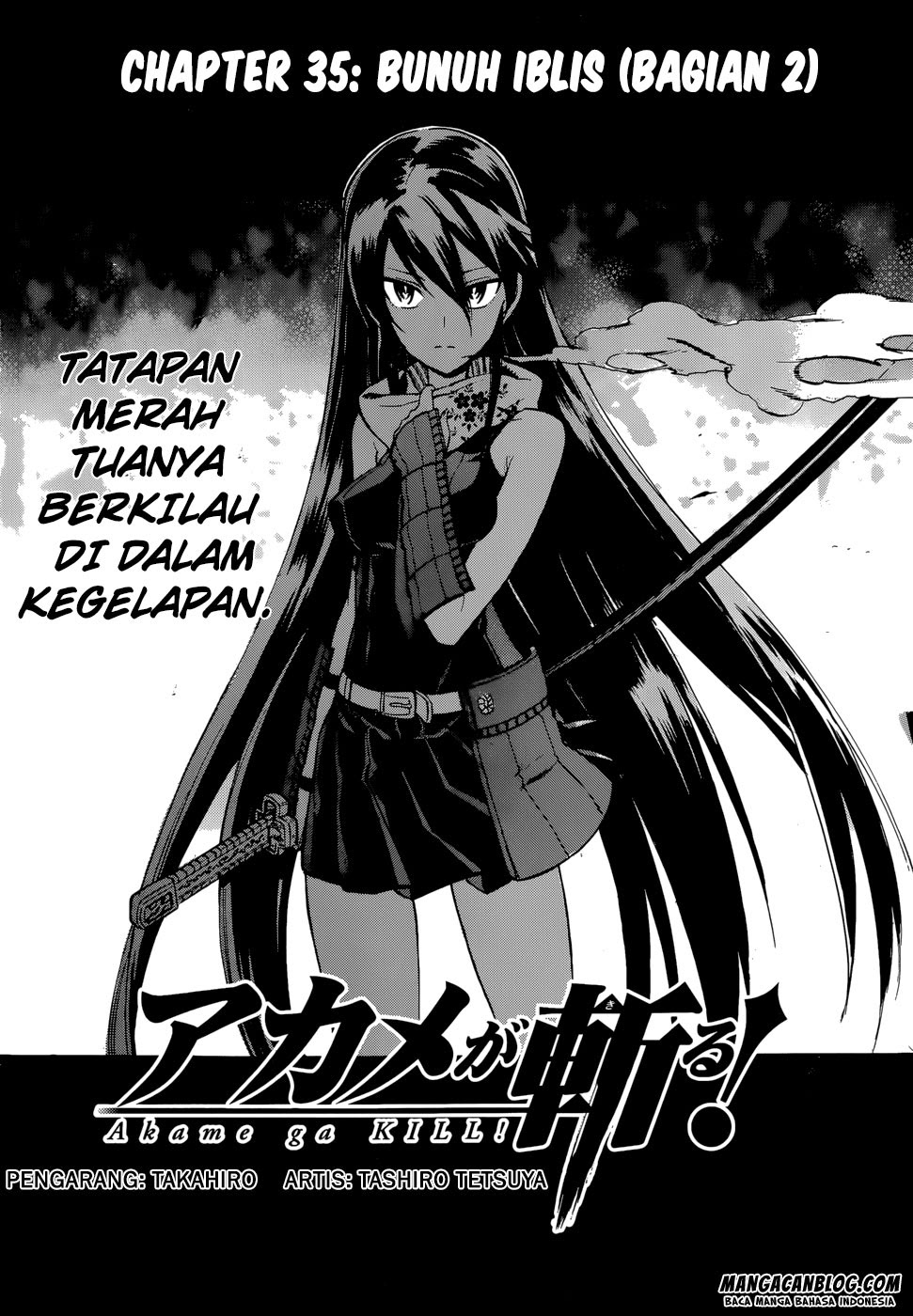 Akame Ga Kill! Chapter 35