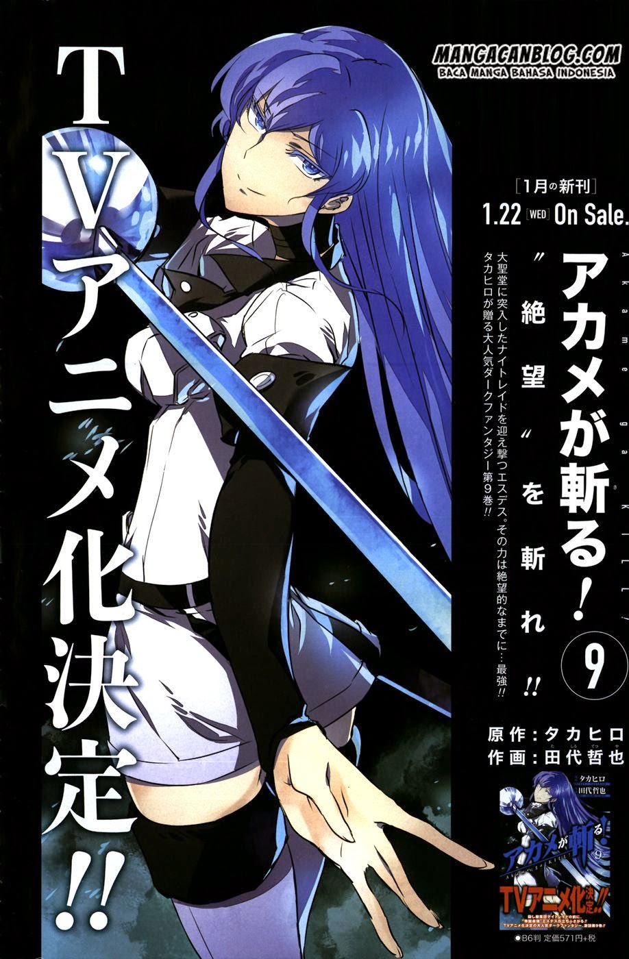 Akame Ga Kill! Chapter 45