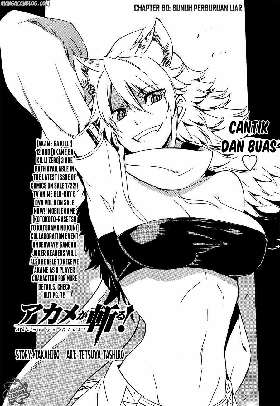 Akame Ga Kill! Chapter 60