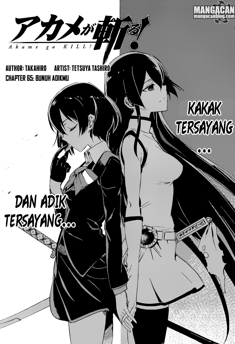 Akame Ga Kill! Chapter 65