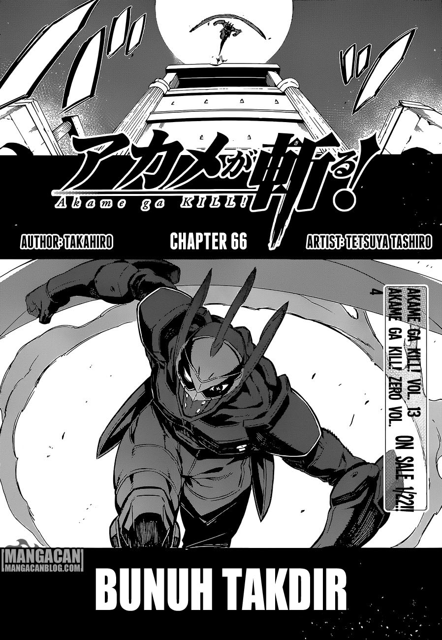 Akame Ga Kill! Chapter 66