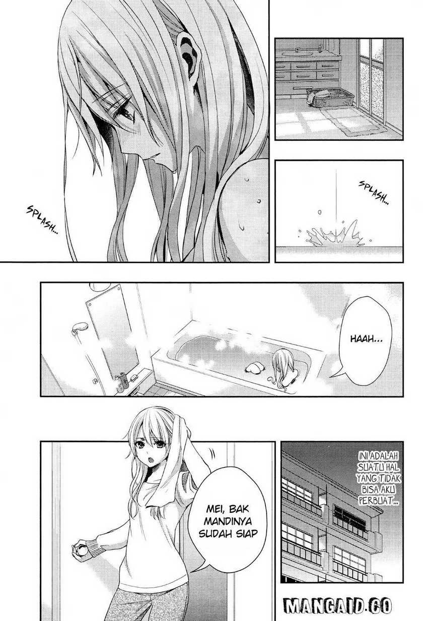 Citrus Chapter 12