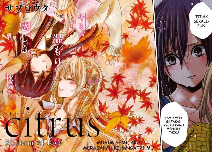 Citrus Chapter 33