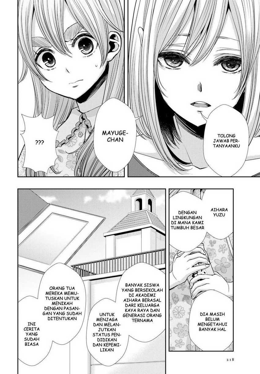 Citrus Chapter 33