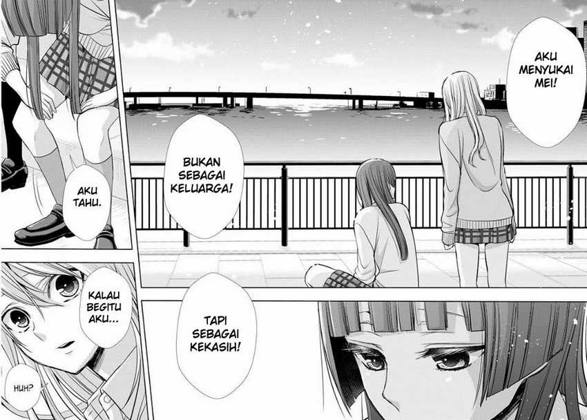 Citrus Chapter 39