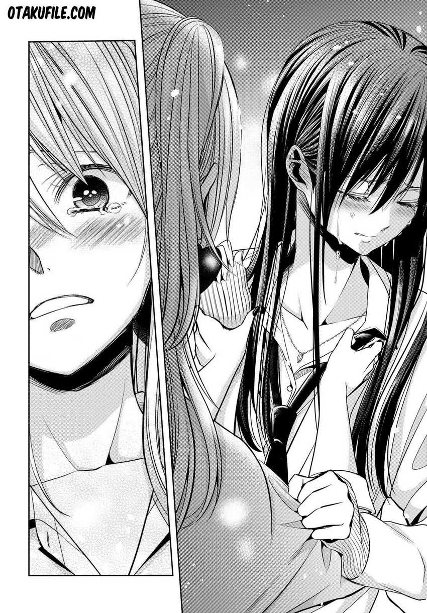 Citrus Chapter 41