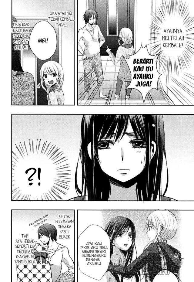 Citrus Chapter 7