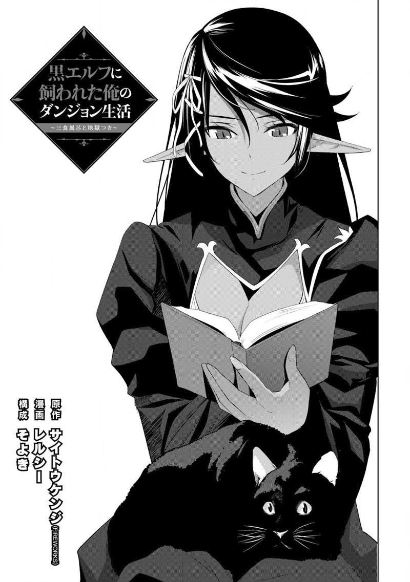 Kuro Elf Ni Kawareta Ore No Danjon Seikatsu Sanshoku Furo To Jigoku-tsuki Chapter 3