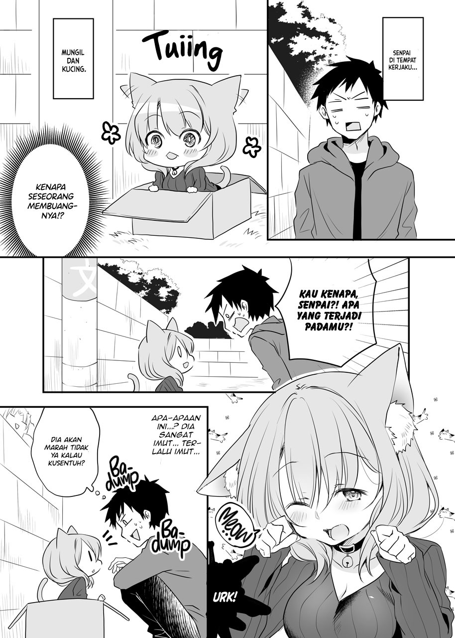 My Company’s Small Senpai Chapter 27