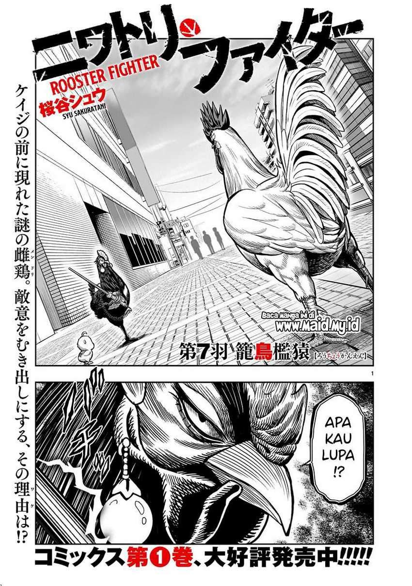 Rooster Fighter Chapter 7
