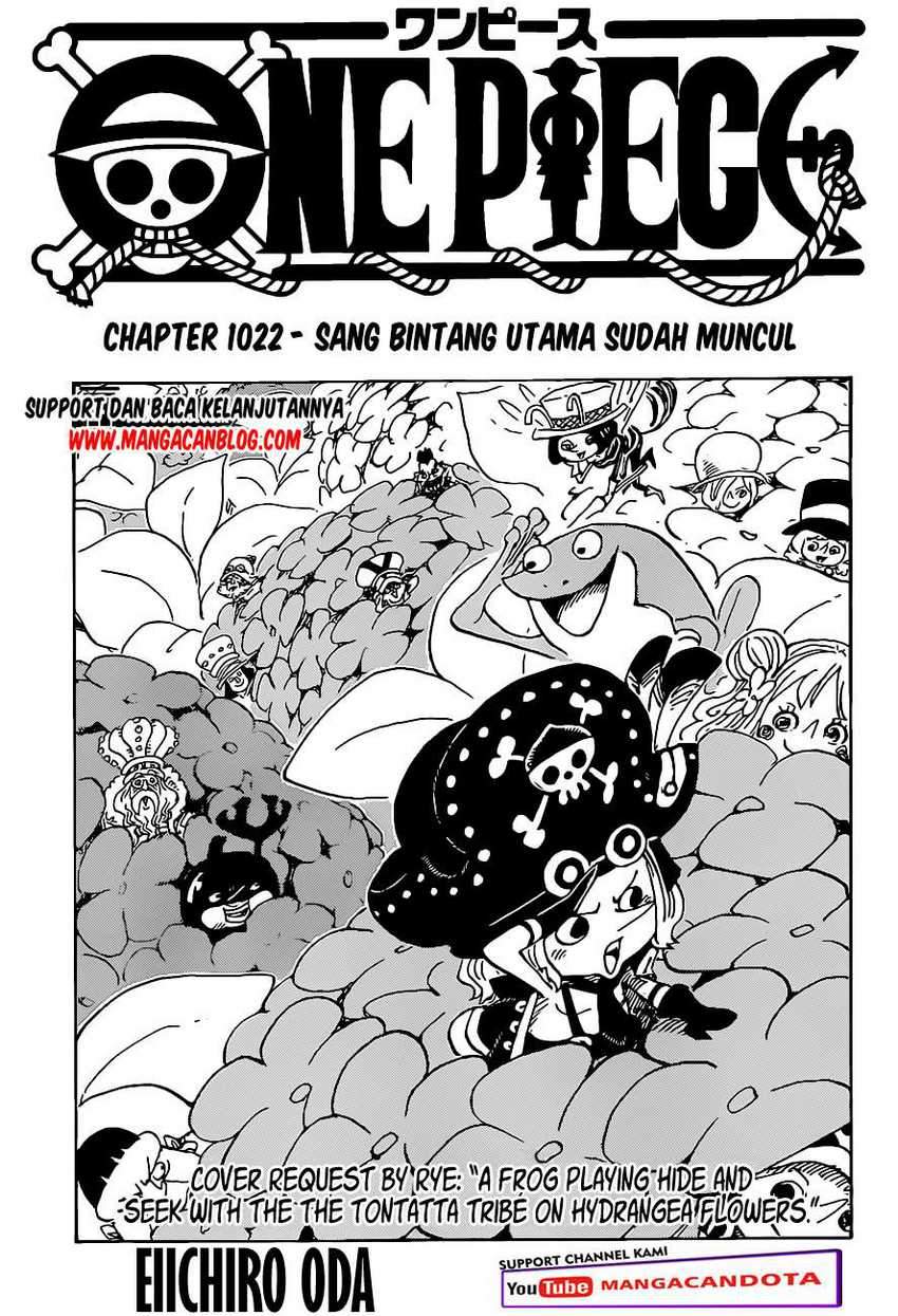 One Piece Chapter 1022