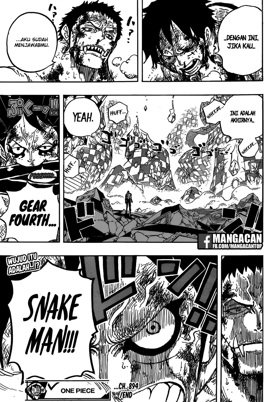 One Piece Chapter 894