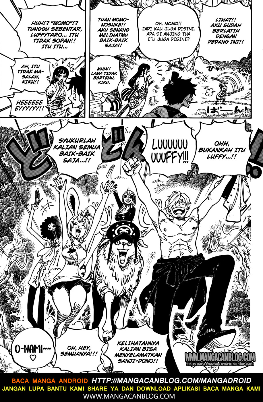 One Piece Chapter 919