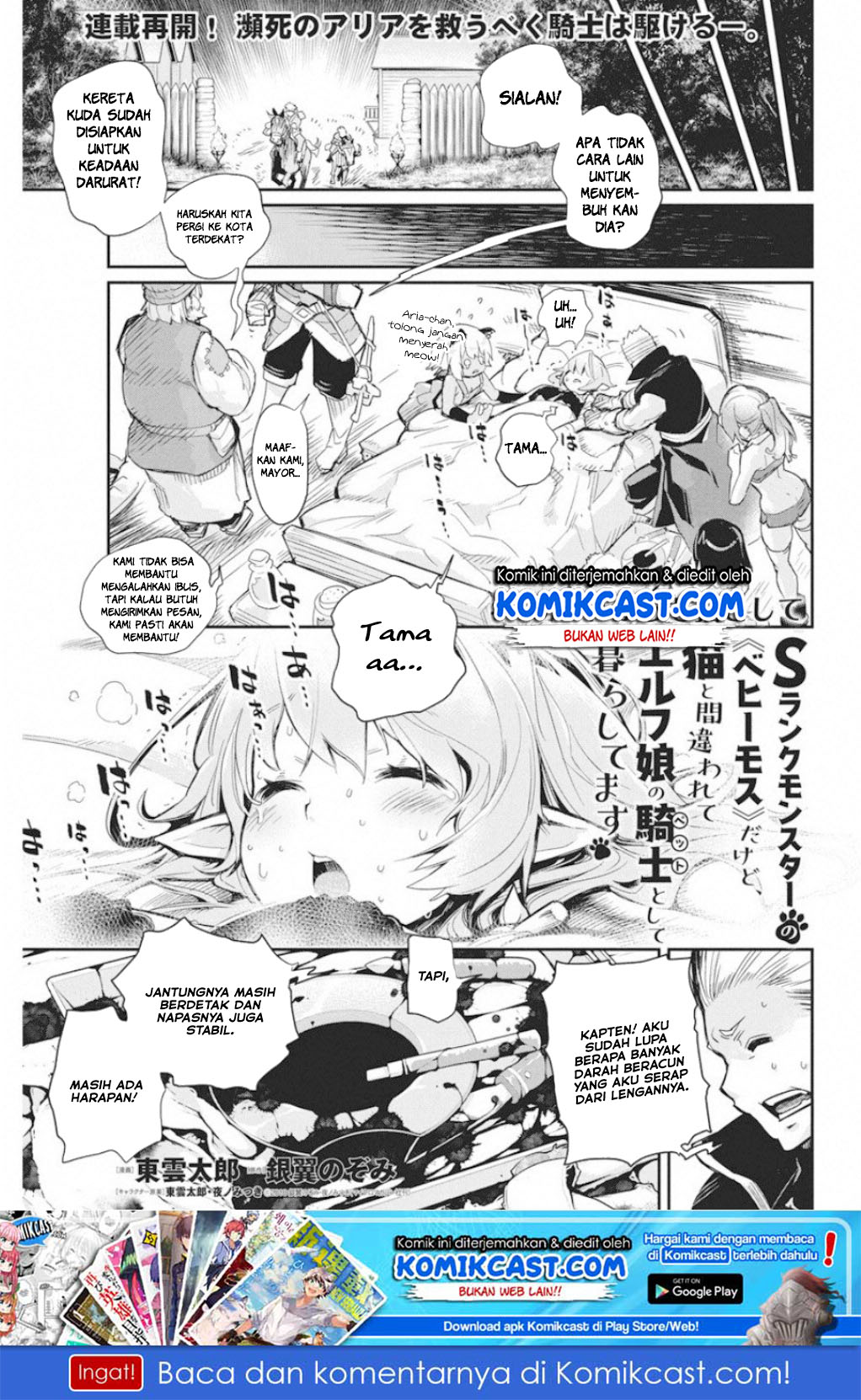 S-rank Monster No Behemoth Dakedo, Neko To Machigawarete Erufu Musume No Kishi (pet) Toshite Kurashitemasu Chapter 16