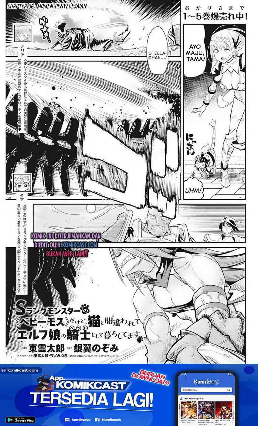 S-rank Monster No Behemoth Dakedo, Neko To Machigawarete Erufu Musume No Kishi (pet) Toshite Kurashitemasu Chapter 36