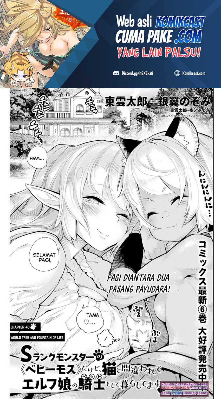 S-rank Monster No Behemoth Dakedo, Neko To Machigawarete Erufu Musume No Kishi (pet) Toshite Kurashitemasu Chapter 40