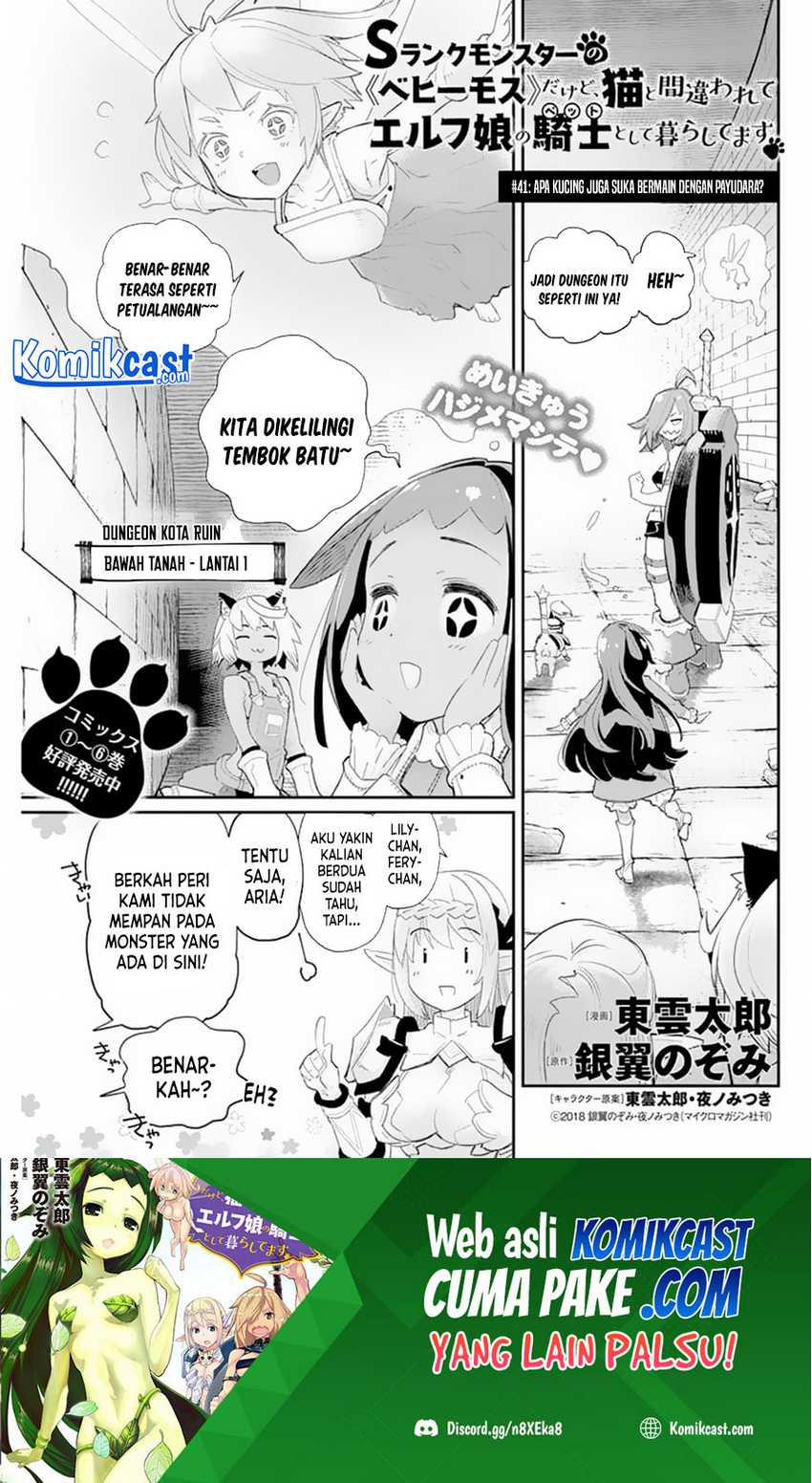 S-rank Monster No Behemoth Dakedo, Neko To Machigawarete Erufu Musume No Kishi (pet) Toshite Kurashitemasu Chapter 41