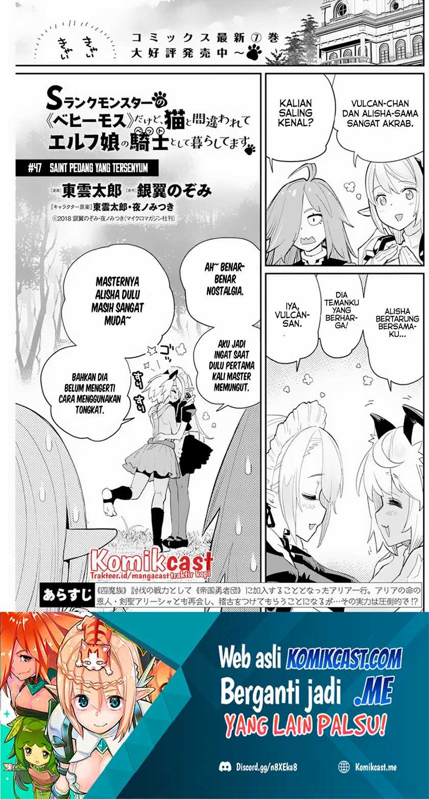 S-rank Monster No Behemoth Dakedo, Neko To Machigawarete Erufu Musume No Kishi (pet) Toshite Kurashitemasu Chapter 47