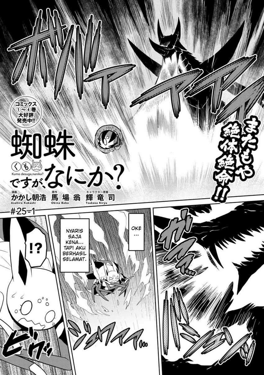 Kumo Desu Ga, Nani Ka Chapter 25.1