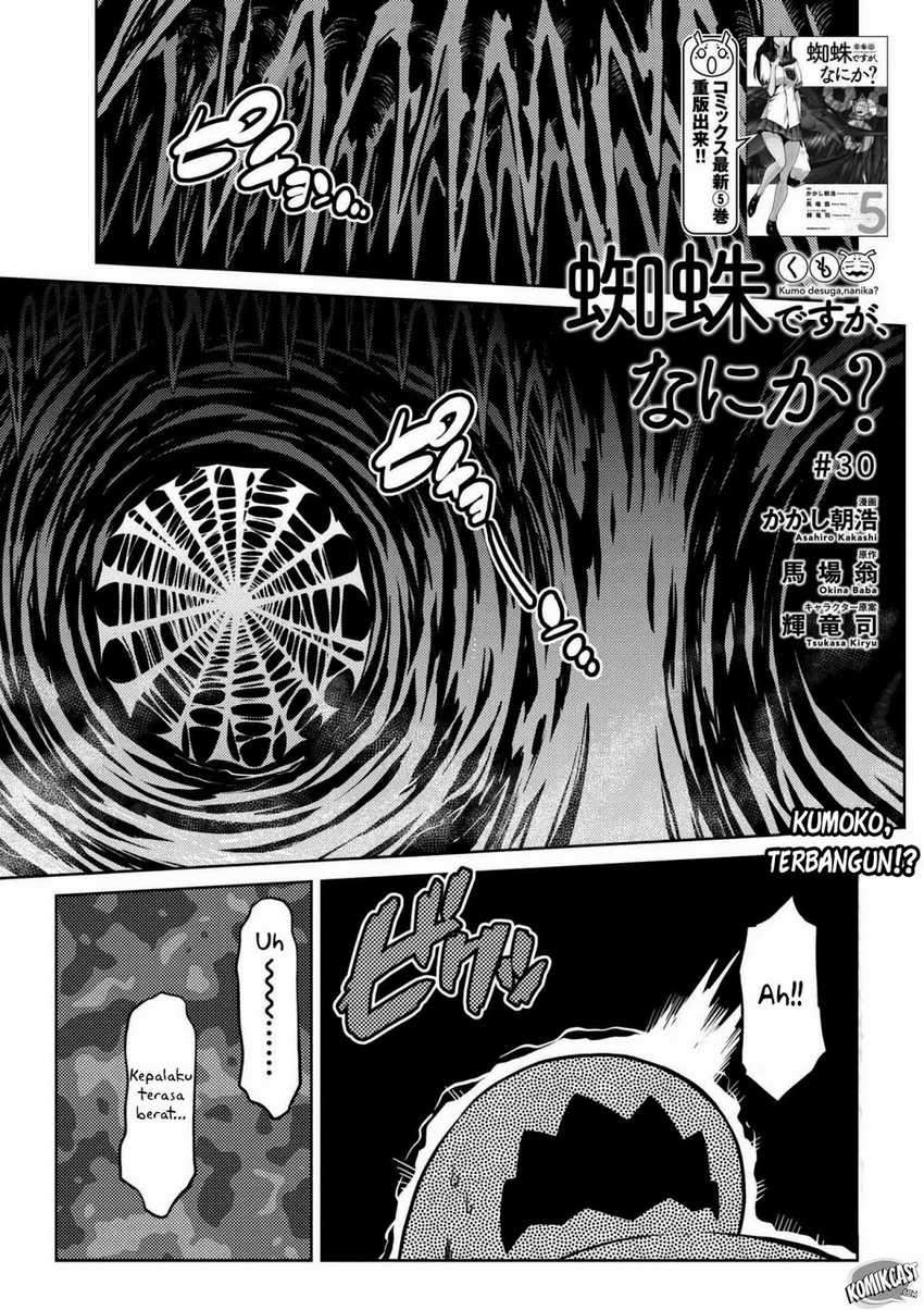 Kumo Desu Ga, Nani Ka Chapter 30.1