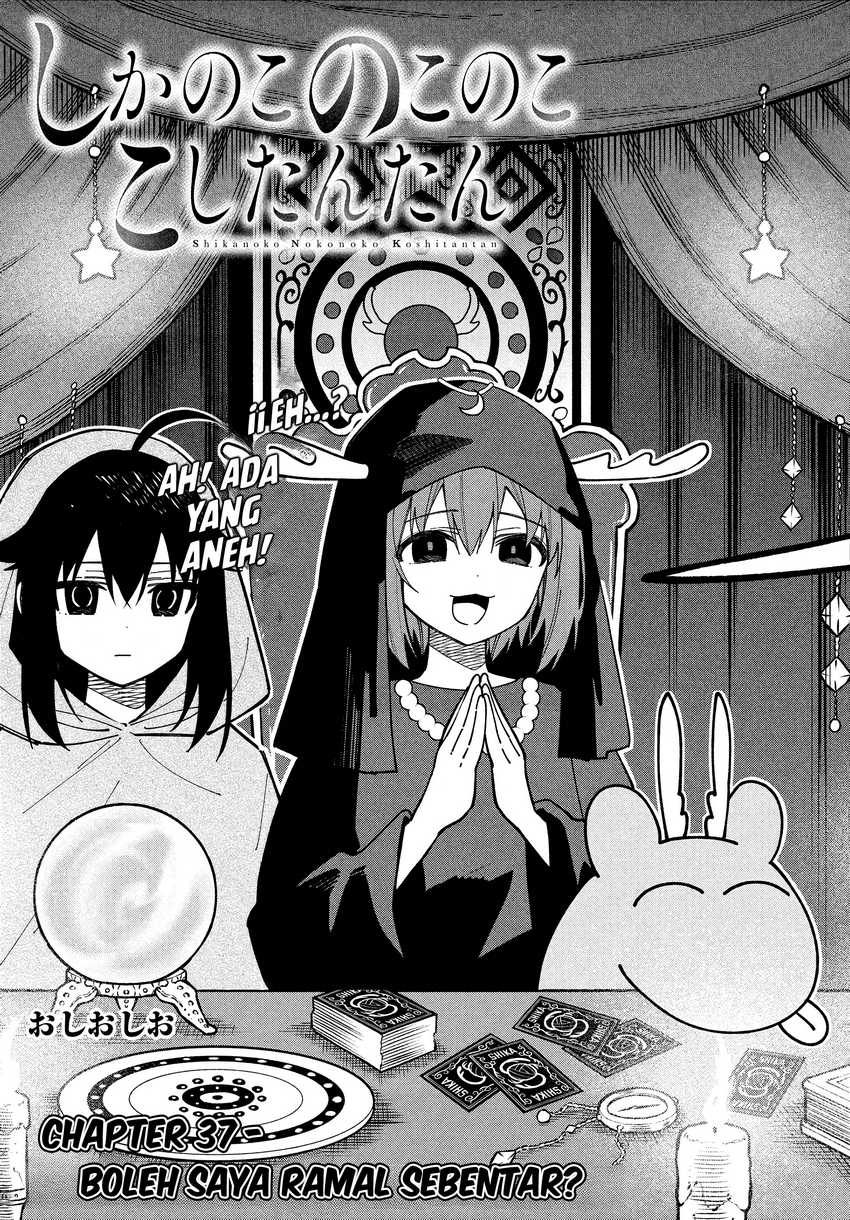 Shikanoko Nokonoko Koshitantan Chapter 37