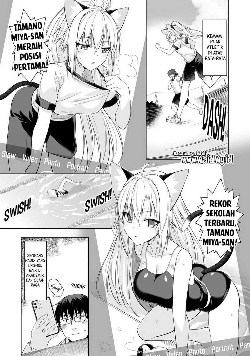 Anata Wa Watashi No Geboku Desu: Neko To Geboku No Himitsu No Kankei Chapter 1