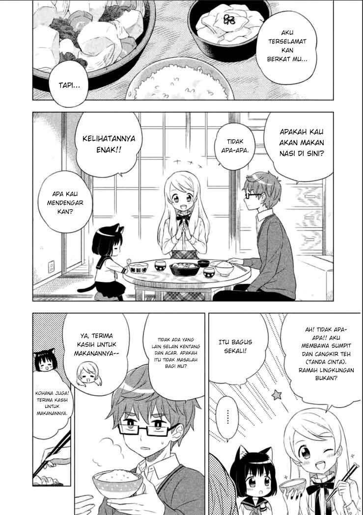 Neko No Kohana Chapter 1