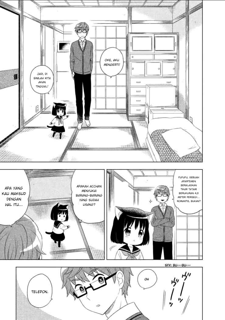 Neko No Kohana Chapter 1