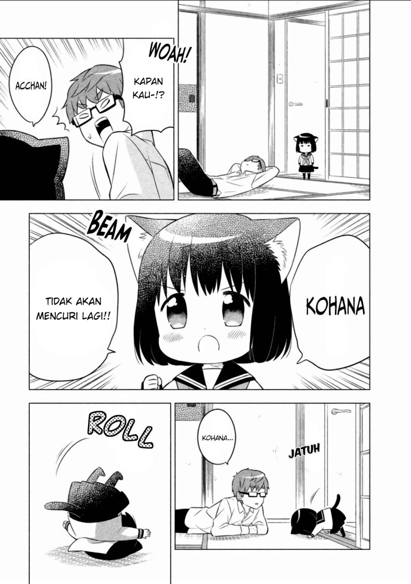 Neko No Kohana Chapter 8