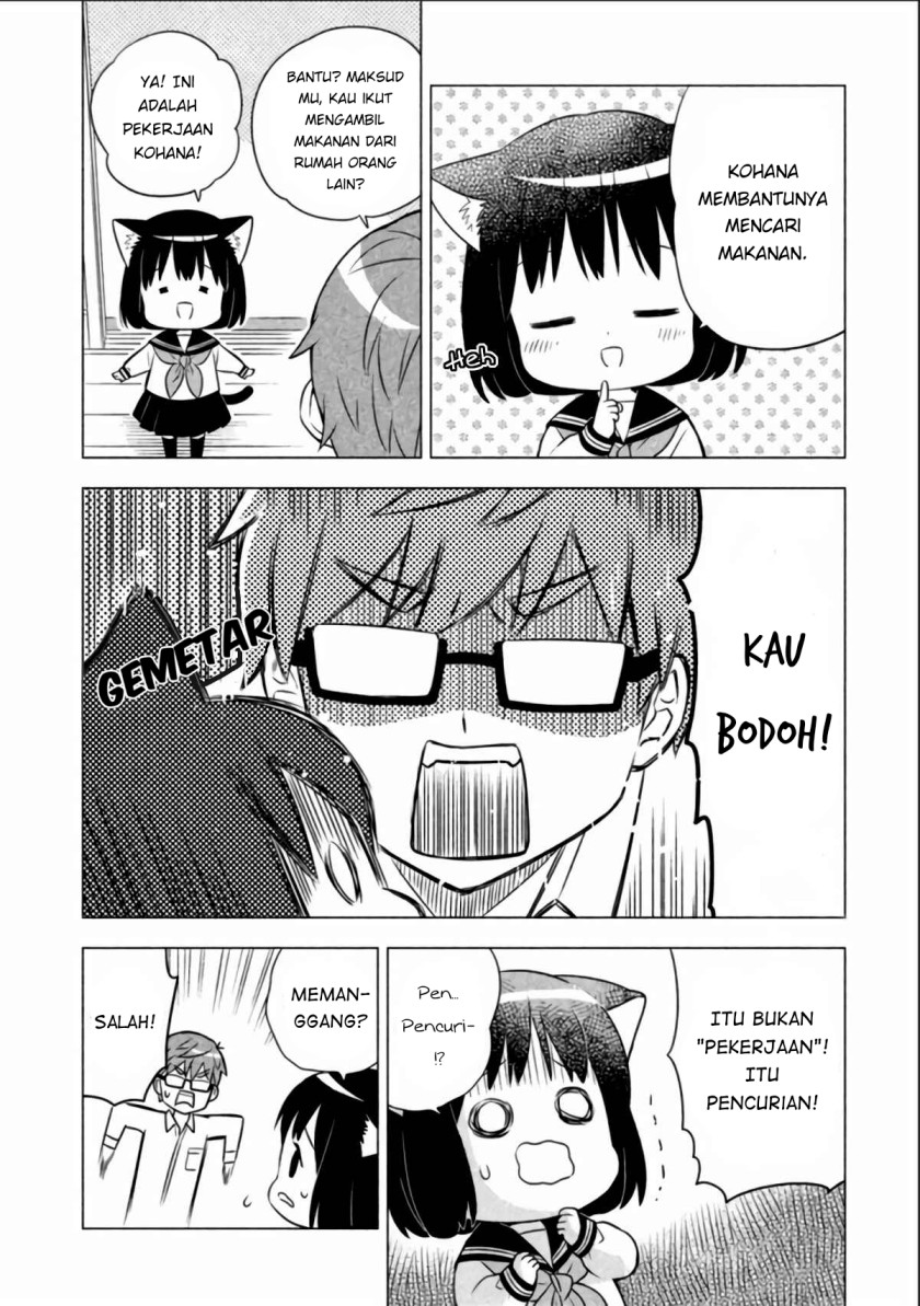 Neko No Kohana Chapter 8