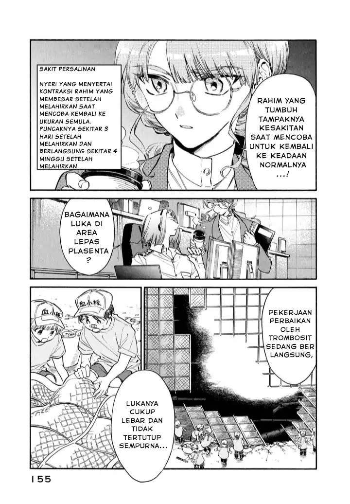 Hataraku Saibou Lady Chapter 15