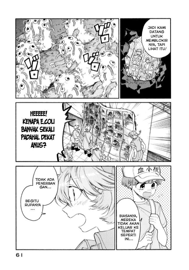 Hataraku Saibou Lady Chapter 7