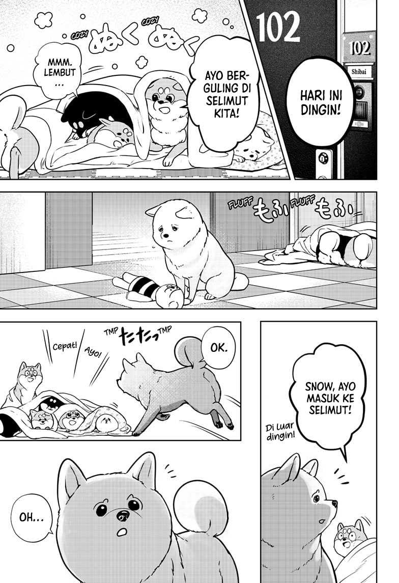 Shiba-tsuki Bukken Chapter 10